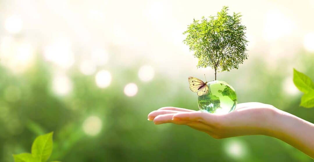 A hand holding a green glass sphere with a tree growing out of it